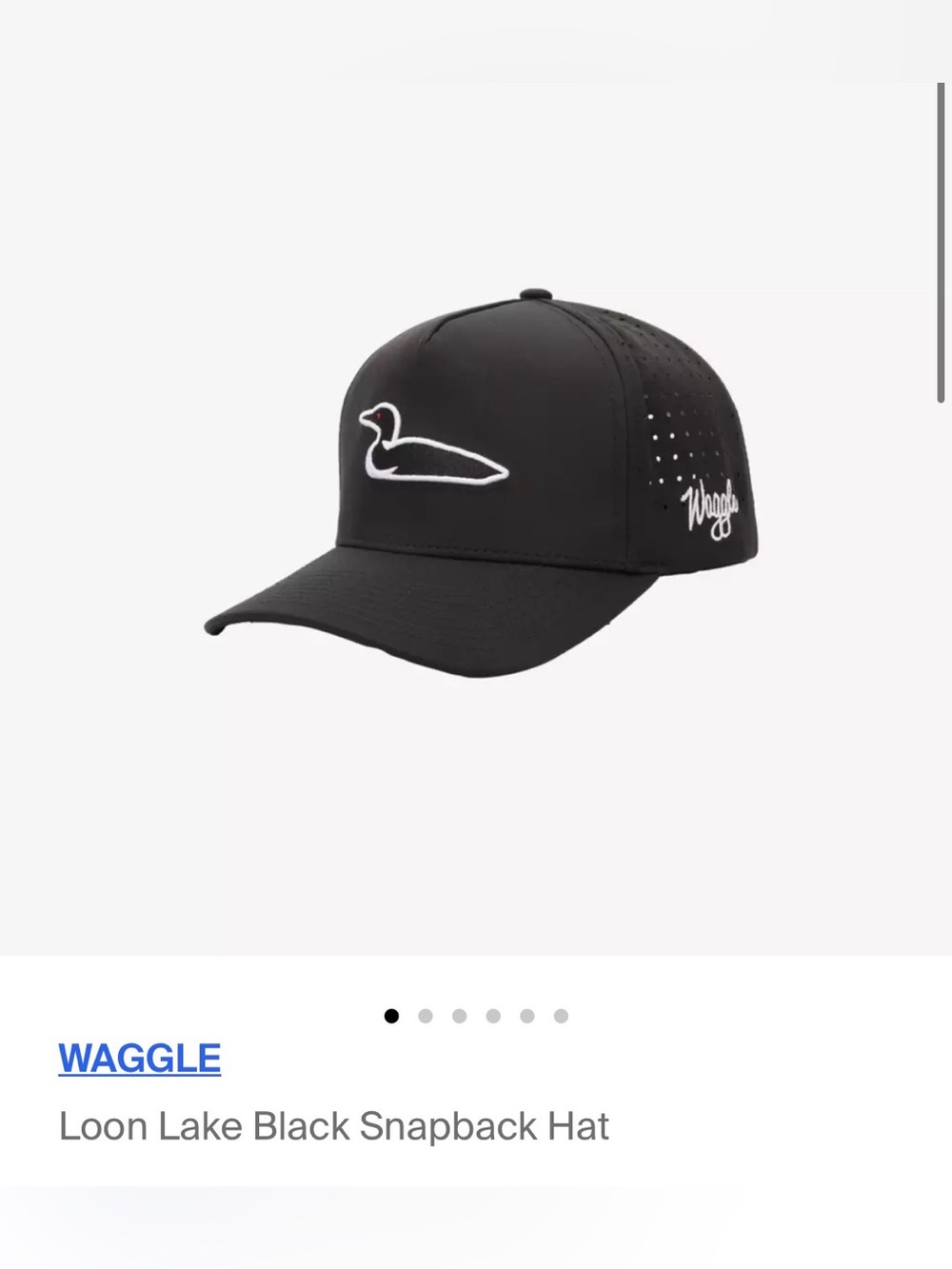 Black Men's Loon Lake Hat Waggle NWOT
